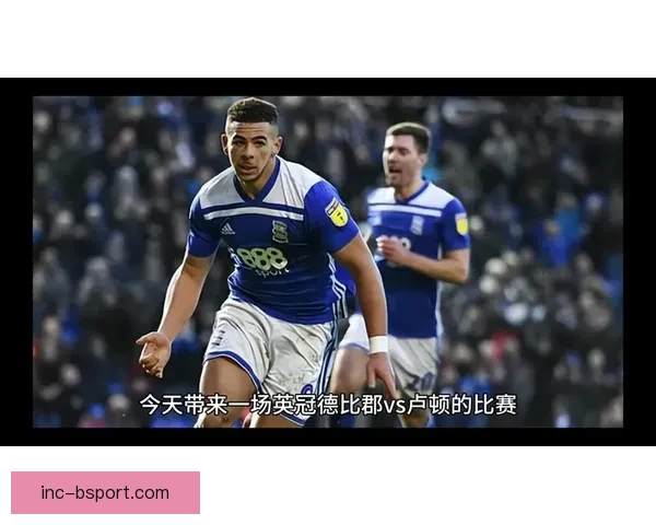 卢顿遗憾降级英冠失利无奈反思赛季表现面临严峻挑战